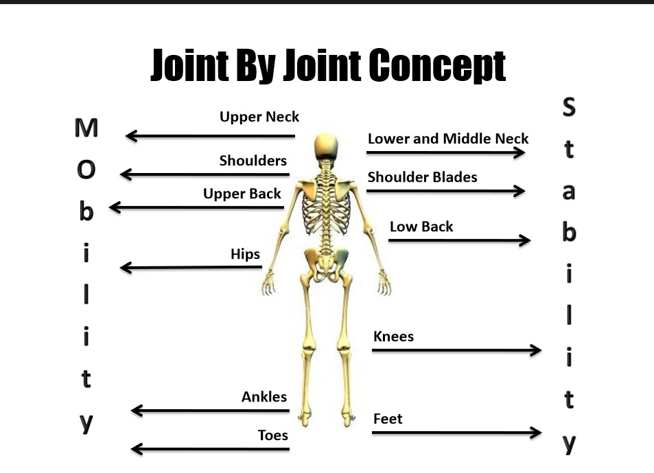 joint-by-joint
